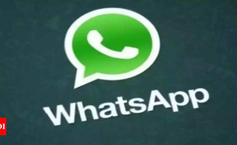 WhatsApp은 곧 iPhone 사용자를 위한 증강 현실 효과 및 필터를 출시할 예정입니다.